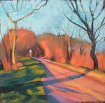 Lane on the Wolds, evening sun